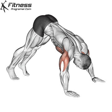 Pike Push-up
